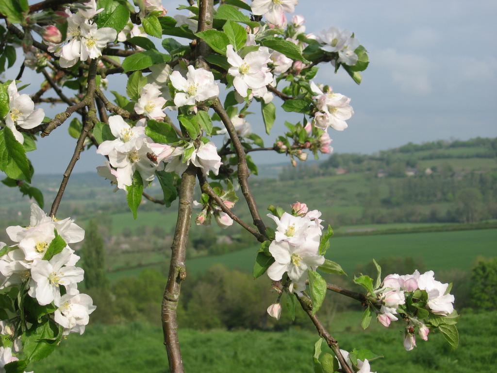 Livarot-Pays-d'Auge La Boursaie B&B 외부 사진