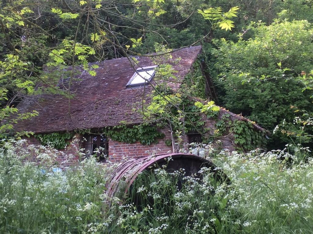 Livarot-Pays-d'Auge La Boursaie B&B 외부 사진
